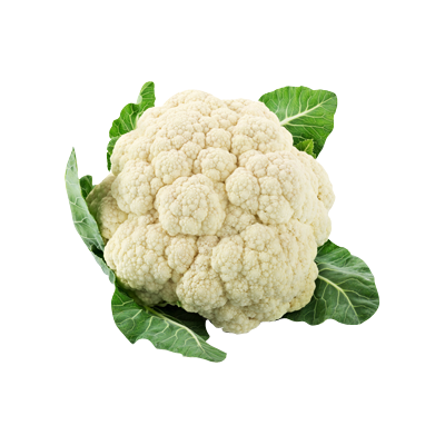 गोभी