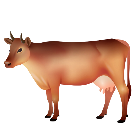 गाय