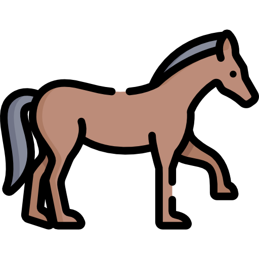 Animals Name