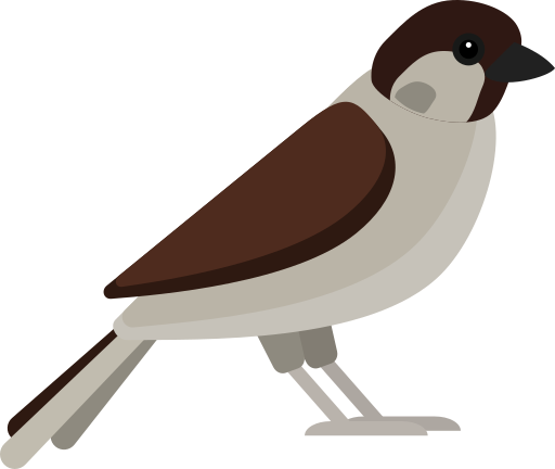 Birds Name