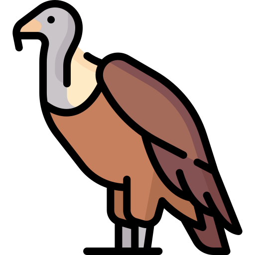 गिद्ध